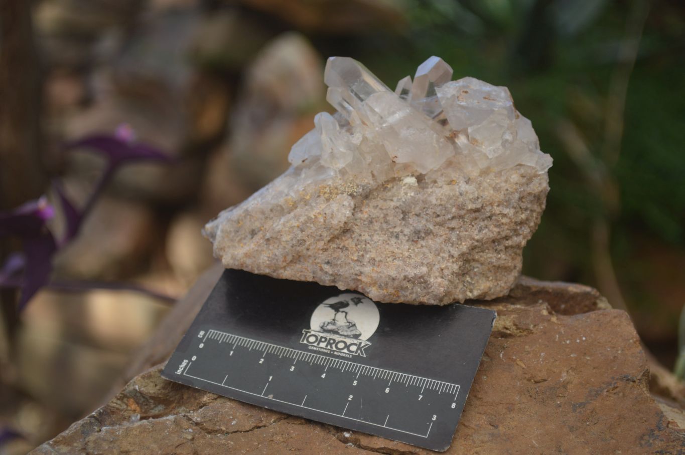 Natural Smokey Quartz Clusters  x 4 From Madagascar - Toprock Gemstones and Minerals 