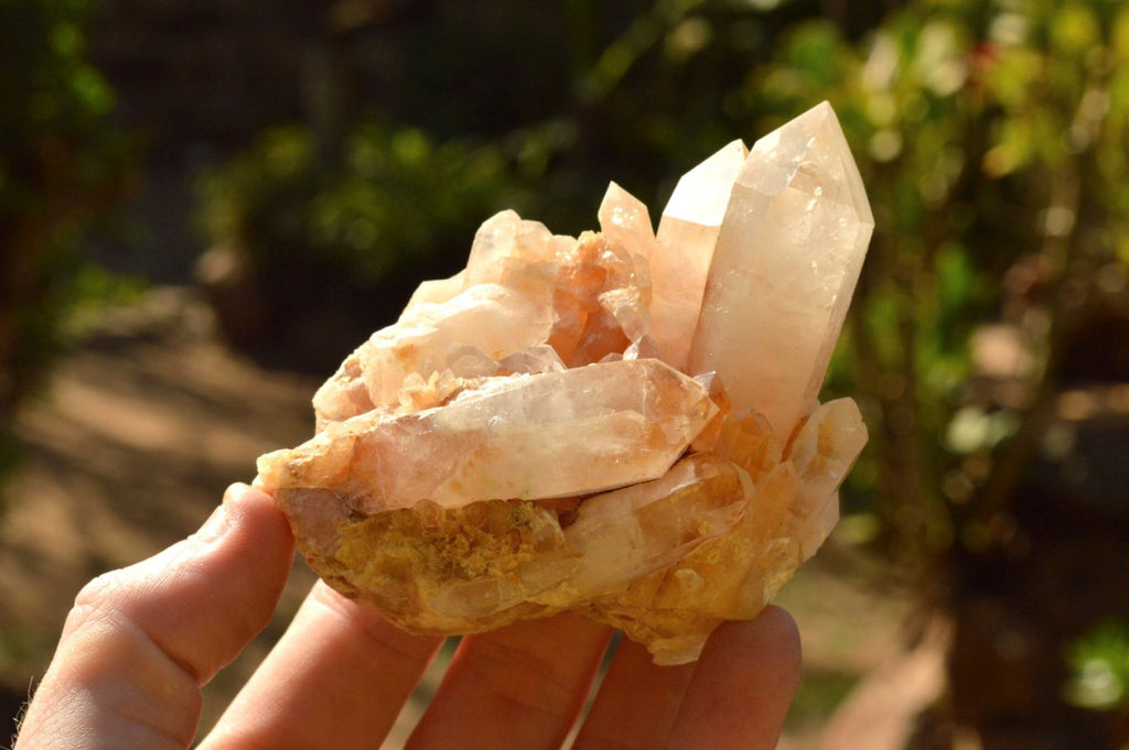 Natural Mixed Quartz Crystals & Clusters  x 13 From Madagascar - TopRock