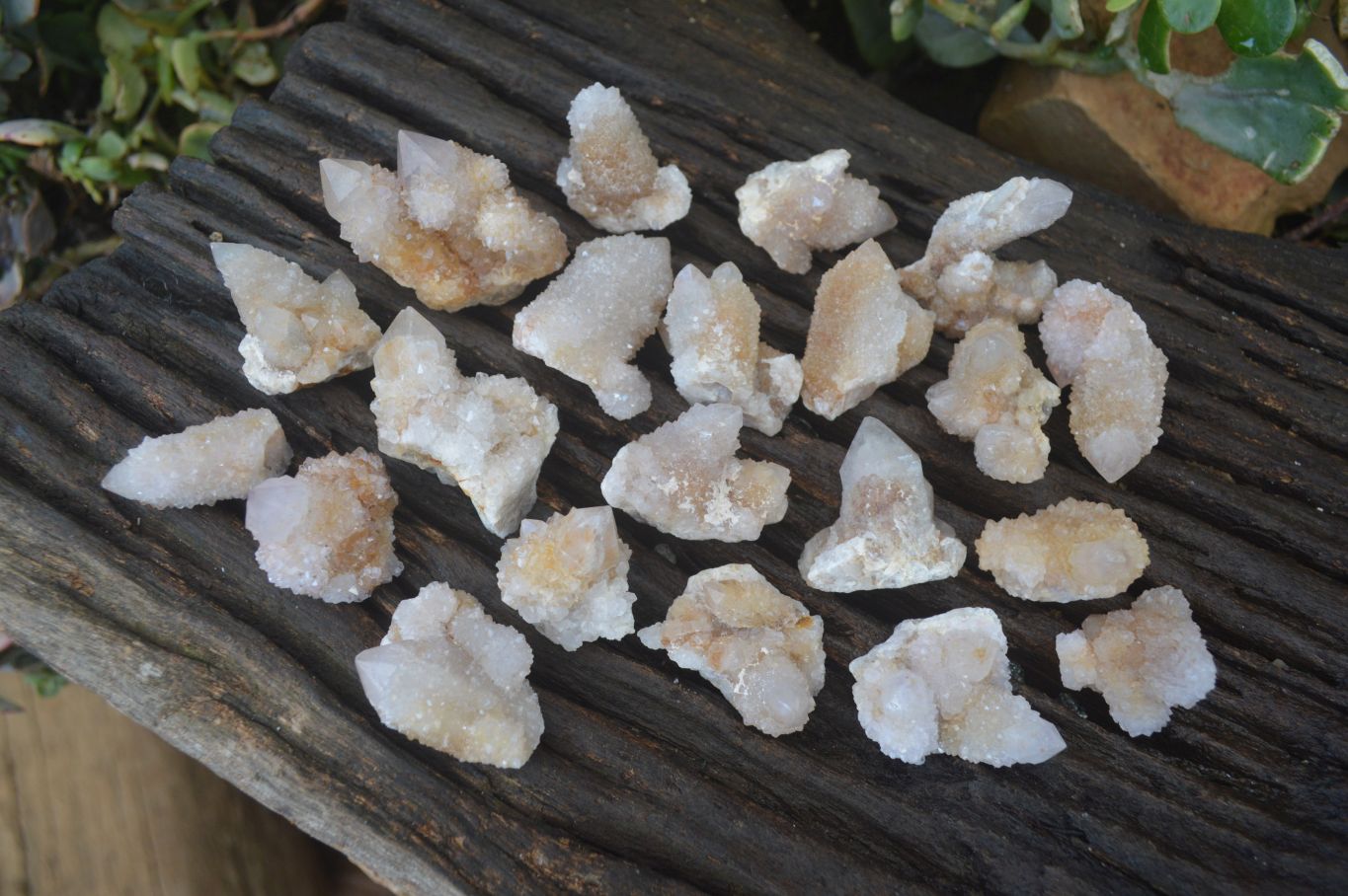 Natural Mixed Spirit Quartz Crystals x 70 From Boekenhouthoek, South Africa - Toprock Gemstones and Minerals 