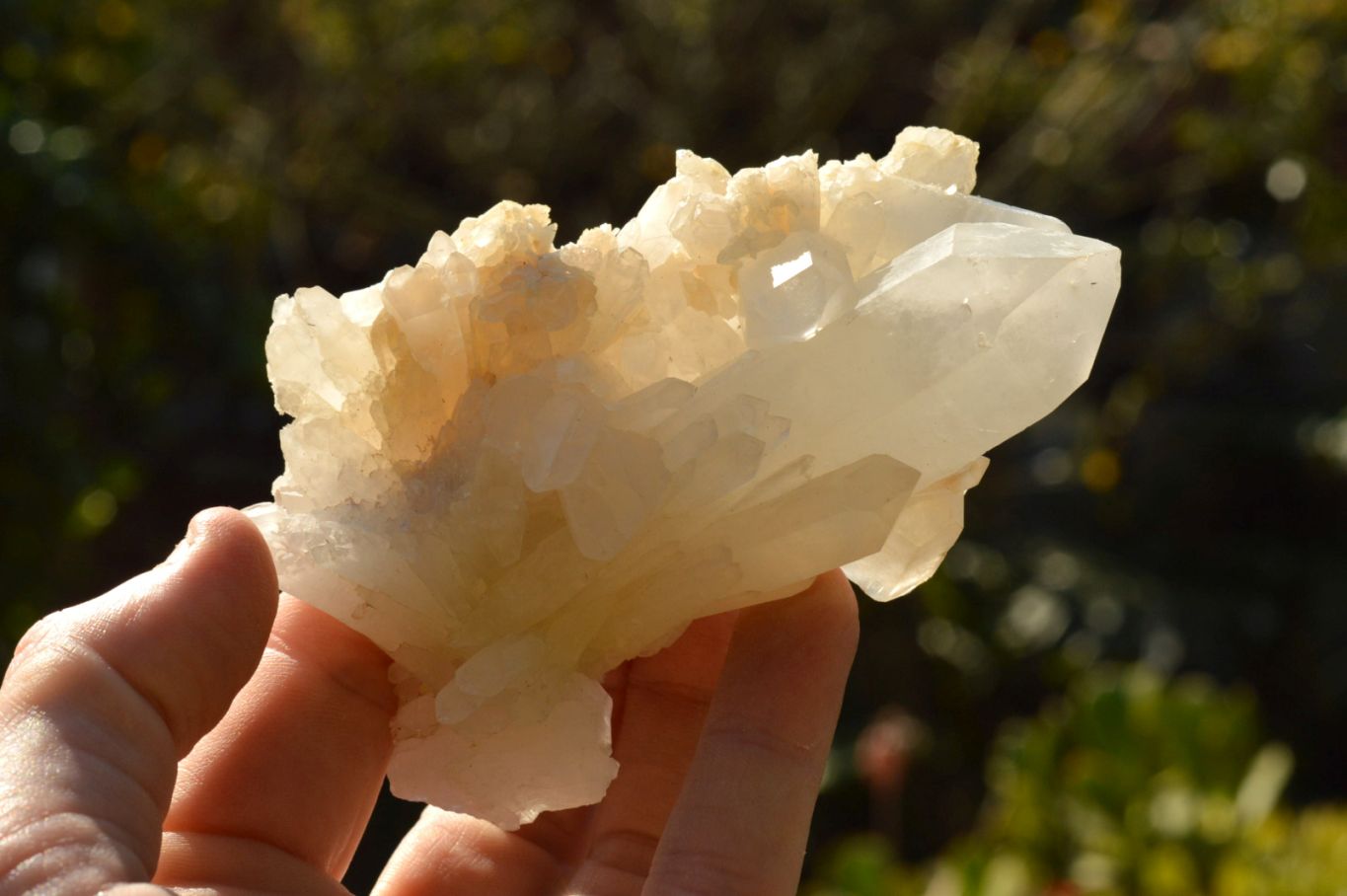 Natural Mixed Quartz Crystals & Clusters  x 13 From Madagascar - TopRock
