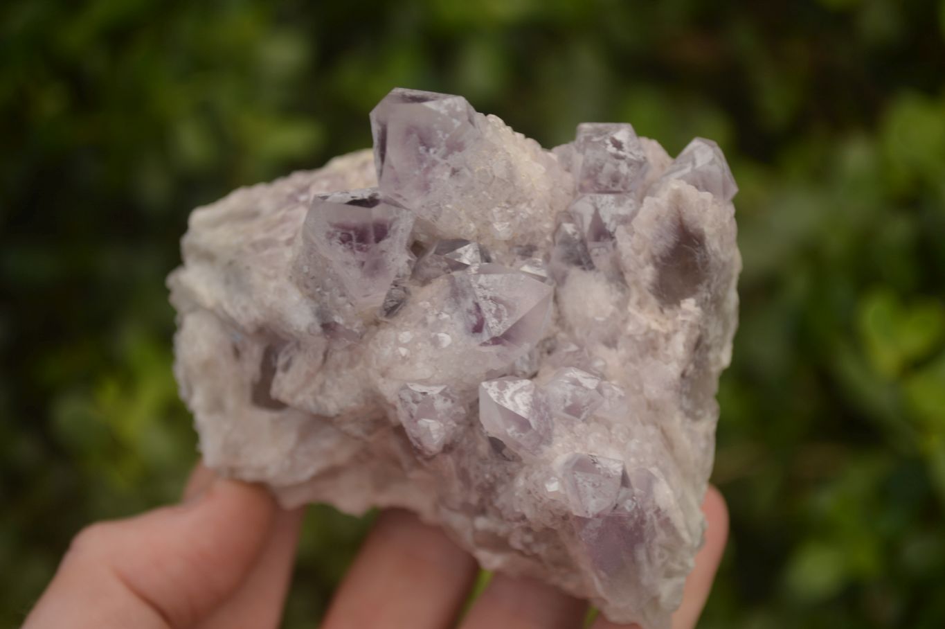 Natural Sugar Amethyst Clusters  x 4 From Solwezi, Zambia - Toprock Gemstones and Minerals 
