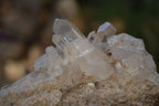 Natural Smokey Quartz Clusters  x 4 From Madagascar - Toprock Gemstones and Minerals 