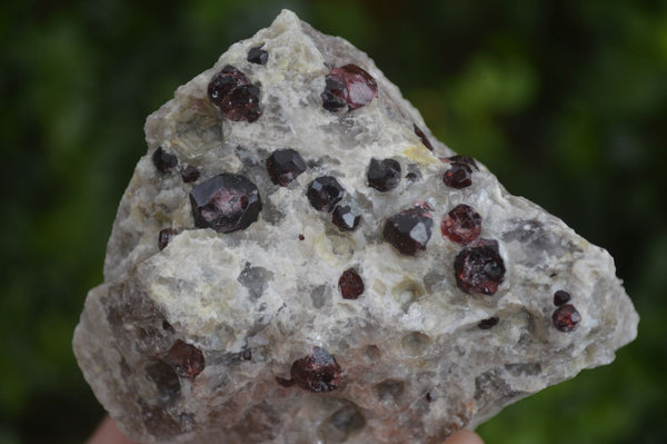 Natural Pyrope Red Garnet Crystals In Matrix Specimens  x 6 From Karibib, Namibia - Toprock Gemstones and Minerals 