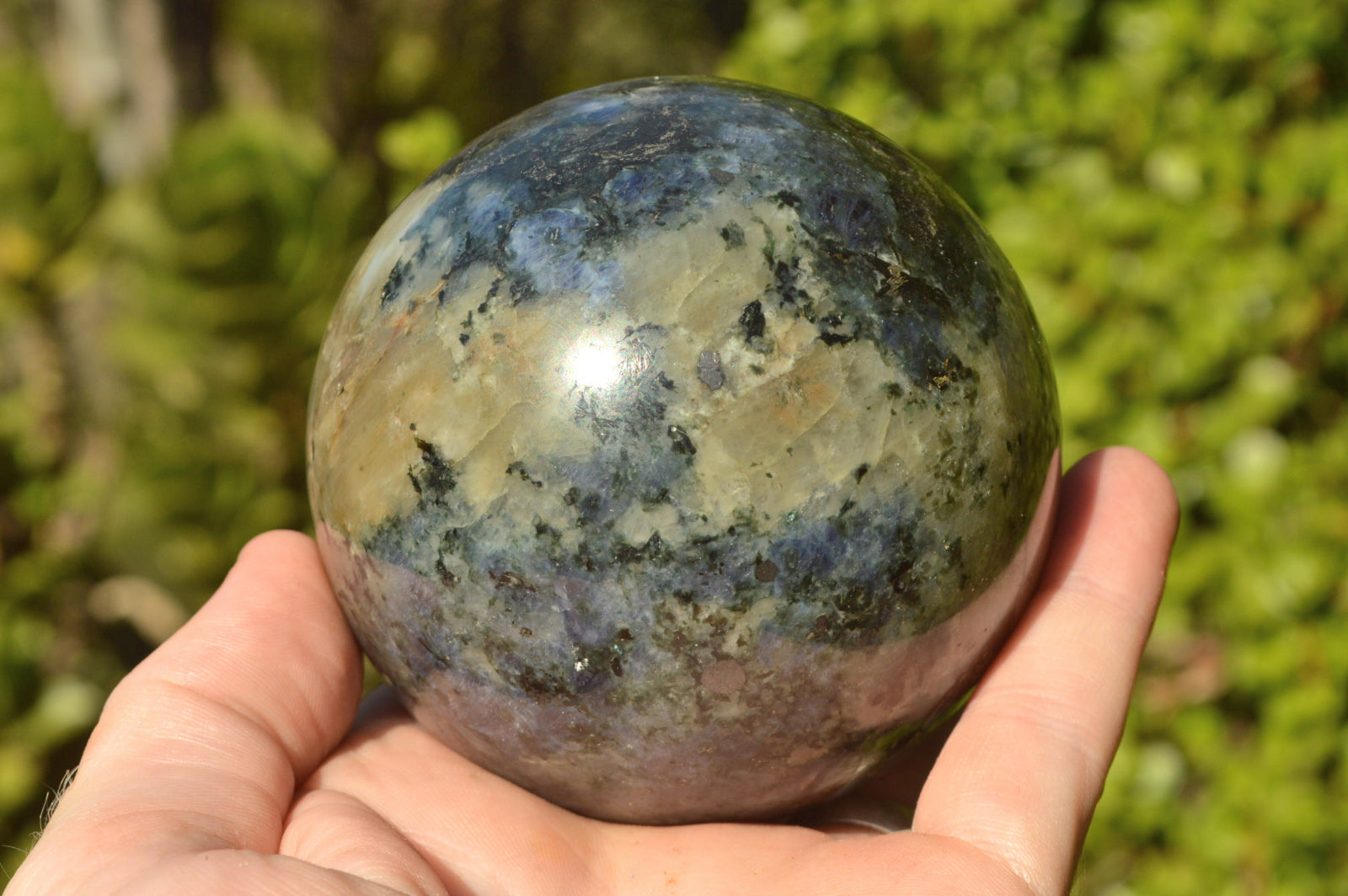Polished Iolite Water Sapphire Spheres x 2 From Madagascar - TopRock