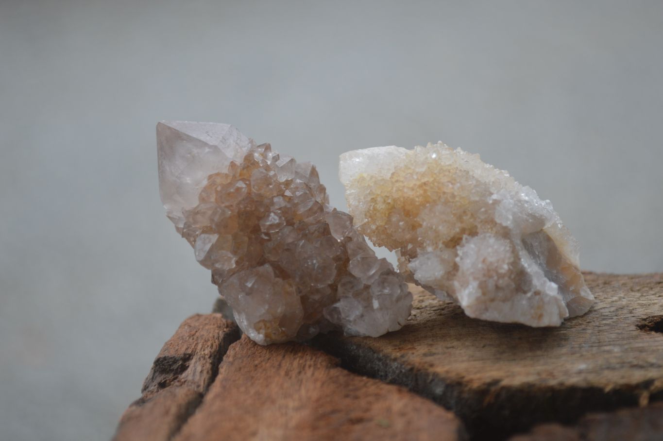Natural Small Mixed Spirit Quartz Specimens  x 35 From Boekenhouthoek, South Africa - Toprock Gemstones and Minerals 