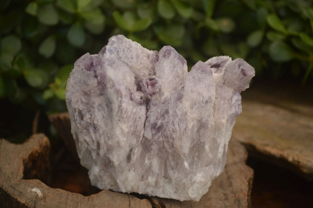 Natural Sugar Amethyst Clusters  x 4 From Solwezi, Zambia - Toprock Gemstones and Minerals 