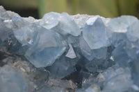 Natural Blue Celestite Geode Specimen  x 1 From Sakoany, Madagascar - Toprock Gemstones and Minerals 