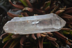 Natural Mixed Quartz Crystals & Clusters  x 16 From Zambia - TopRock