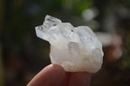 Natural Small Quartz Clusters  x 35 From Madagascar - Toprock Gemstones and Minerals 