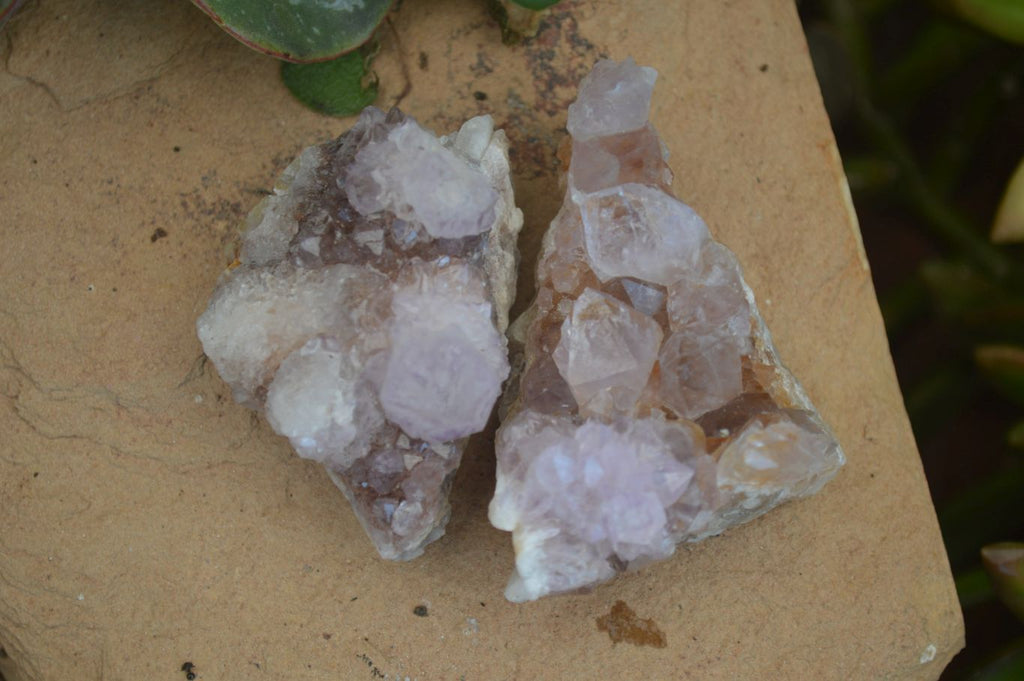 Natural Small Mixed Spirit Amethyst / Ametrine Specimens  x 35 From Boekenhouthoek, South Africa - Toprock Gemstones and Minerals 