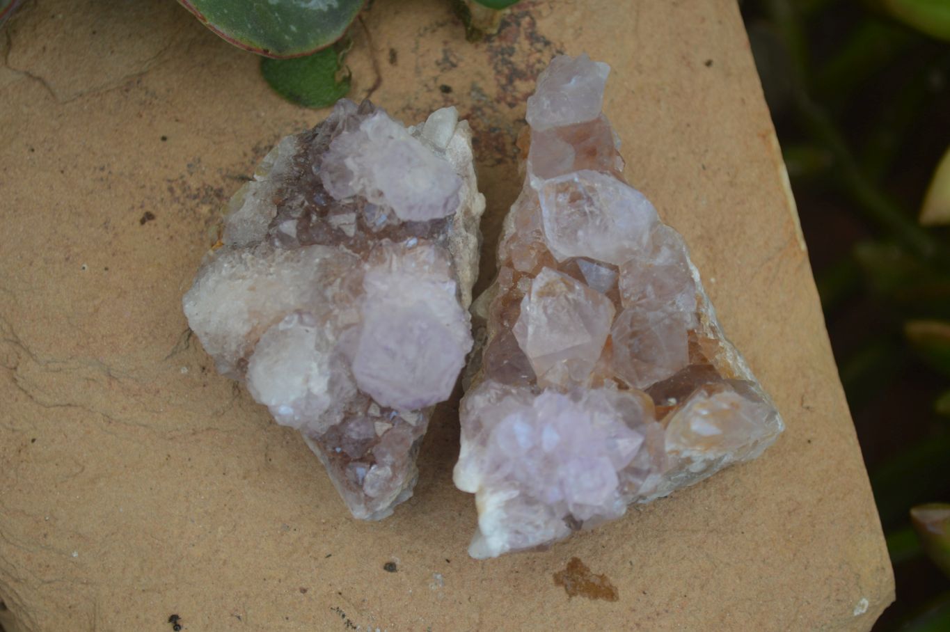 Natural Small Mixed Spirit Amethyst / Ametrine Specimens  x 35 From Boekenhouthoek, South Africa - Toprock Gemstones and Minerals 