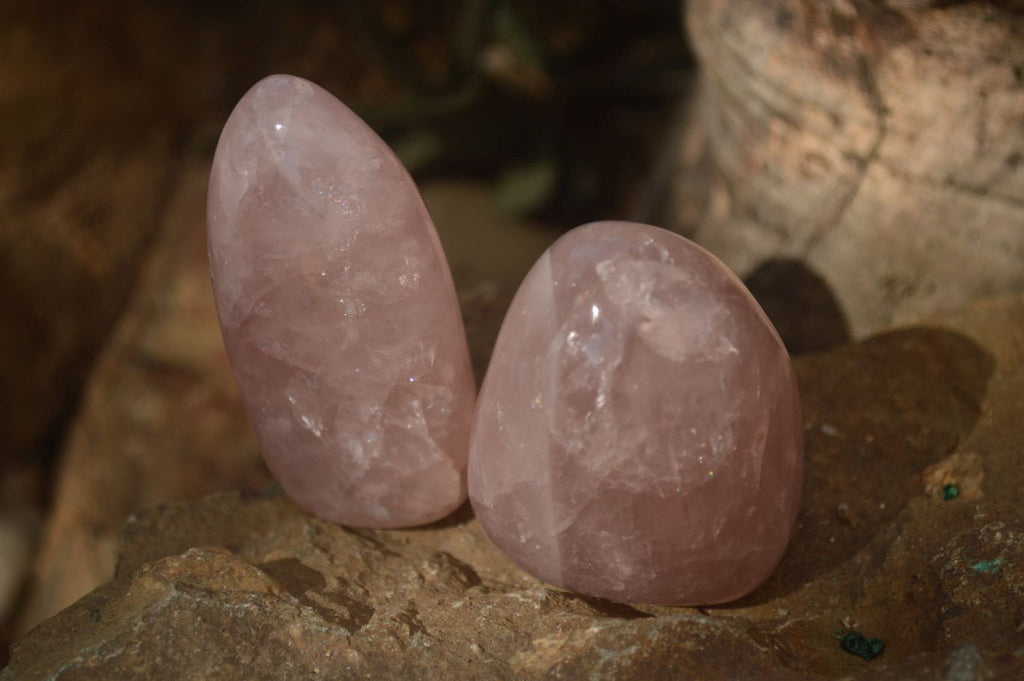 Polished Gemmy Pink Rose Quartz Standing Free Forms x 12 From Madagascar - Toprock Gemstones and Minerals 