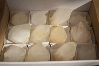 Natural Large Clear / White Quartz Crystals  x 12 From Madagascar - Toprock Gemstones and Minerals 