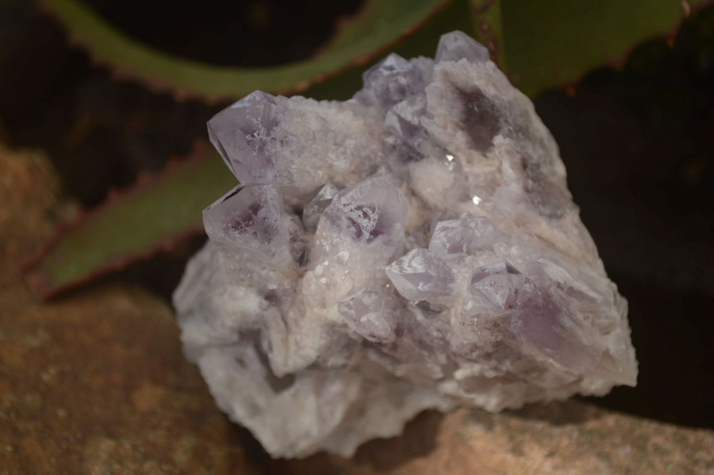 Natural Sugar Amethyst Clusters  x 4 From Solwezi, Zambia - Toprock Gemstones and Minerals 