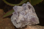 Natural Sugar Amethyst Clusters  x 4 From Solwezi, Zambia - Toprock Gemstones and Minerals 