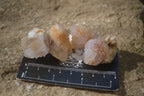 Natural Mixed Spirit Quartz Crystals x 70 From Boekenhouthoek, South Africa - Toprock Gemstones and Minerals 