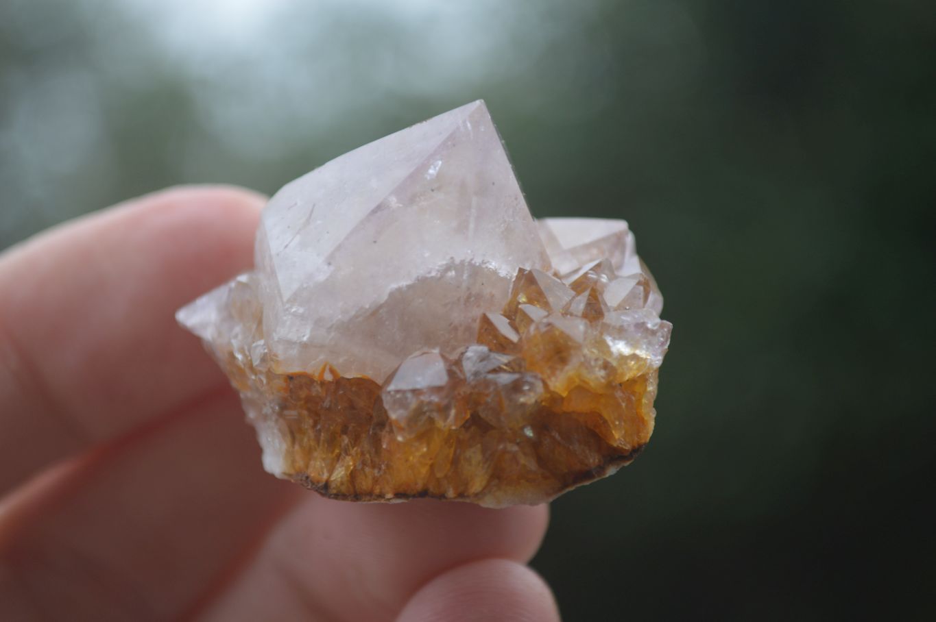 Natural Small Mixed Spirit Quartz Specimens  x 35 From Boekenhouthoek, South Africa - Toprock Gemstones and Minerals 
