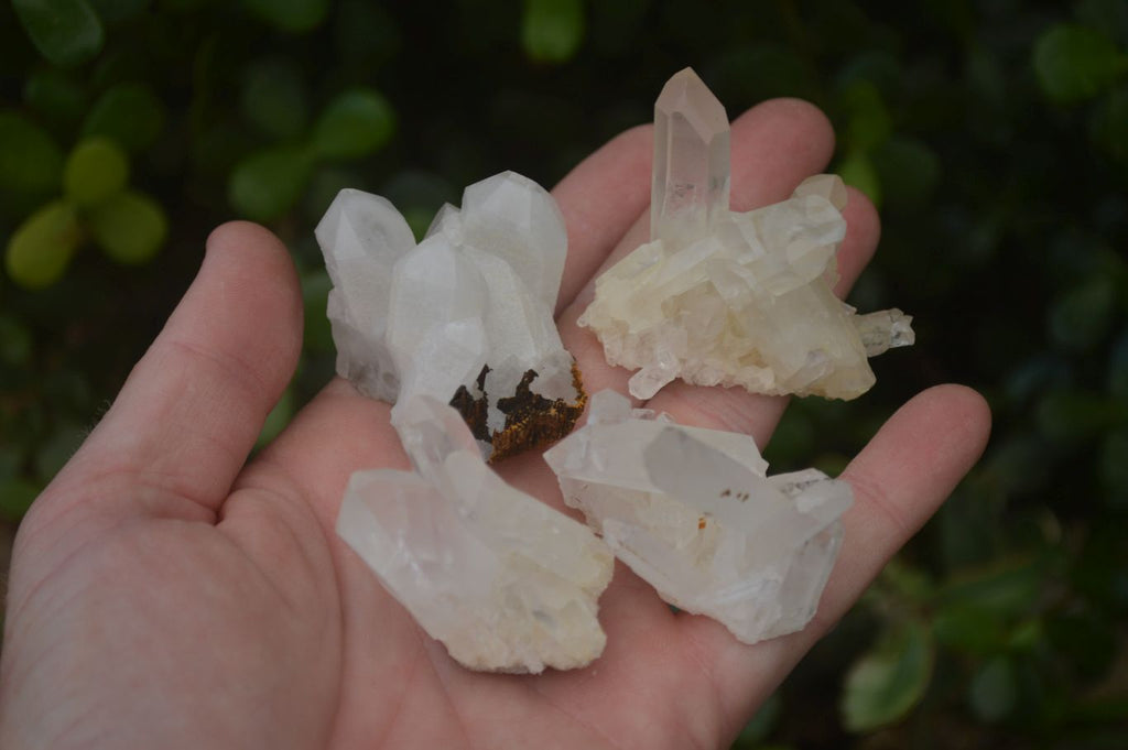 Natural Small Quartz Clusters  x 35 From Madagascar - Toprock Gemstones and Minerals 