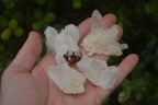 Natural Small Quartz Clusters  x 35 From Madagascar - Toprock Gemstones and Minerals 