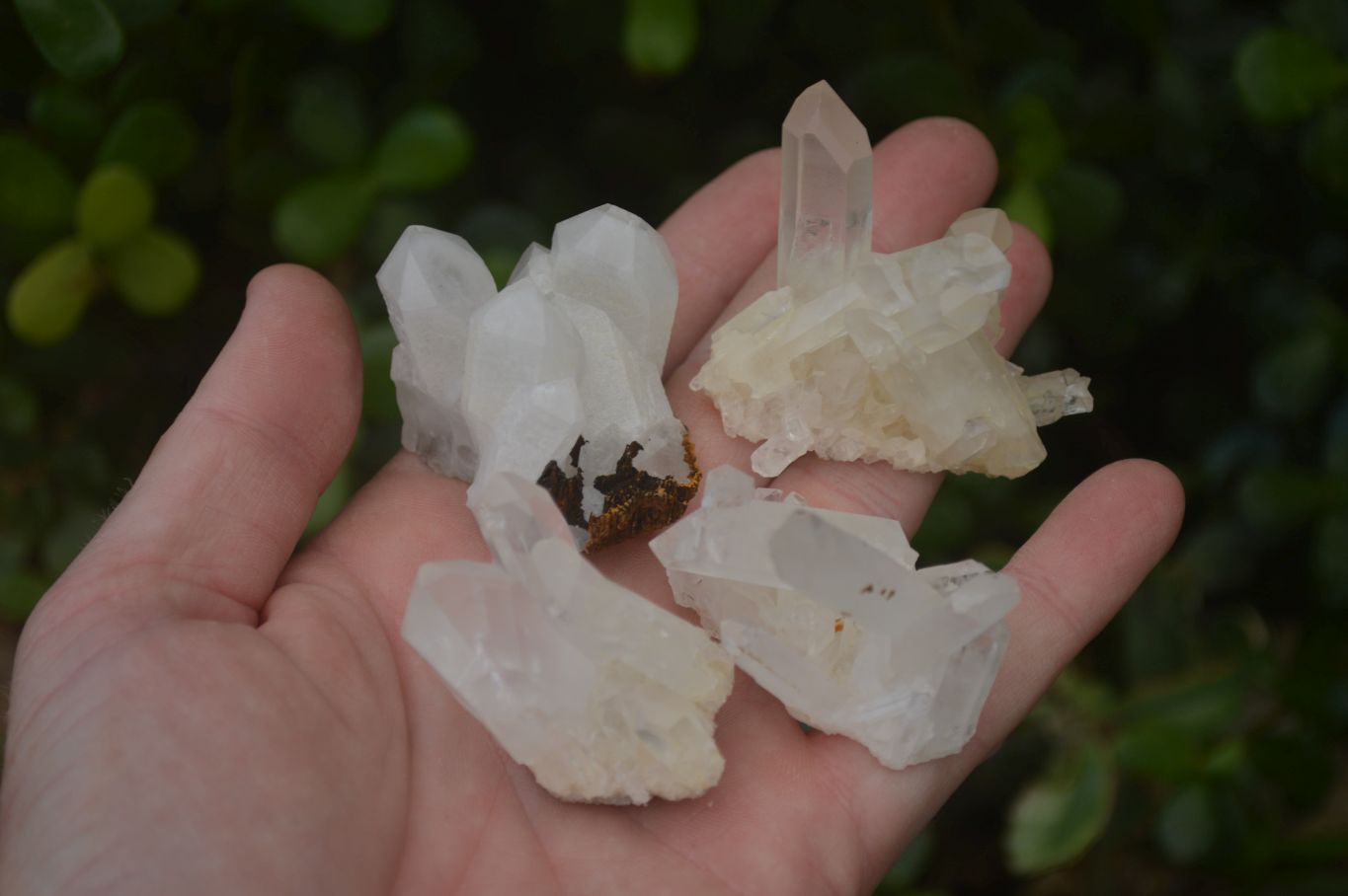 Natural Small Quartz Clusters  x 35 From Madagascar - Toprock Gemstones and Minerals 