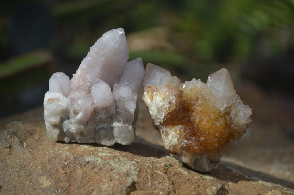 Natural Small Mixed Spirit Amethyst / Ametrine Specimens  x 35 From Boekenhouthoek, South Africa - Toprock Gemstones and Minerals 