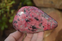 Polished Red Rhodonite Free Forms x 3 From Zimbabwe - Toprock Gemstones and Minerals 