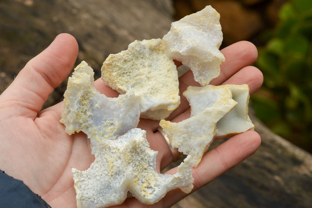 Natural Mini Etched Blue Chalcedony Specimens  x 35 From Malawi - TopRock