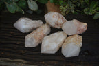 Natural Highly Selected Pineapple Candle Quartz Crystals  x 6 From Madagascar - Toprock Gemstones and Minerals 