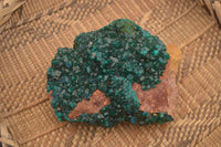 Natural Extra Large Emerald Dioptase Crystal Specimen x 1 From Likasi, Congo - Toprock Gemstones and Minerals 