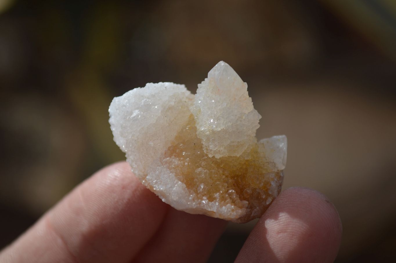 Natural Mixed Spirit Quartz Crystals x 70 From Boekenhouthoek, South Africa - Toprock Gemstones and Minerals 