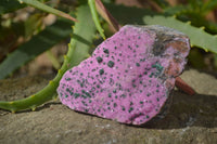 Natural Pink Salrose Cobaltion Dolomite Specimens  x 6 From Kakanda, Congo - Toprock Gemstones and Minerals 