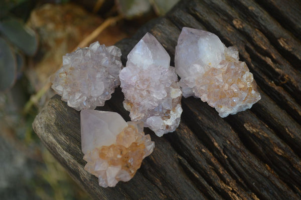 Natural Small Mixed Spirit Amethyst / Ametrine Specimens  x 35 From Boekenhouthoek, South Africa