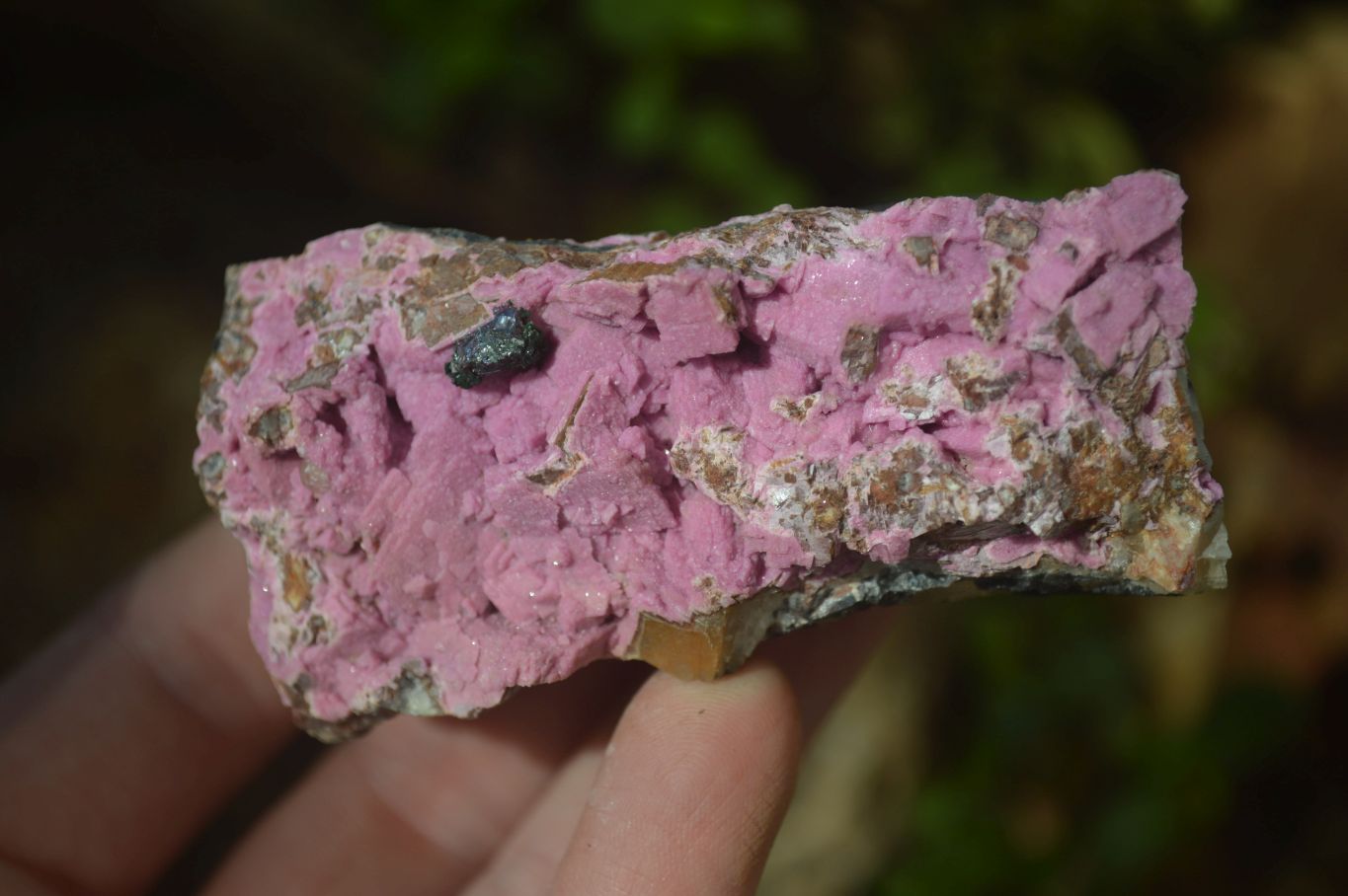 Natural Salrose Cobaltion Dolomite Specimens x 12 From Kakanda, Congo - Toprock Gemstones and Minerals 