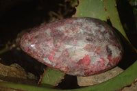 Polished Red Rhodonite Free Forms x 3 From Zimbabwe - Toprock Gemstones and Minerals 
