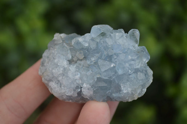 Natural Blue Celestite Crystal Specimens  x 23 From Sakoany, Madagascar - Toprock Gemstones and Minerals 