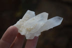 Natural Small Quartz Clusters  x 35 From Madagascar - Toprock Gemstones and Minerals 