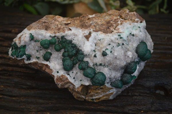 Natural Extra Large Rare Ball Malachite On Drusy Quartz & Dolomite Matrix  x 1 From Kambove, Congo