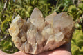 Natural Smokey Cascading Phantom Quartz Clusters x 2 From Luena, Congo - TopRock