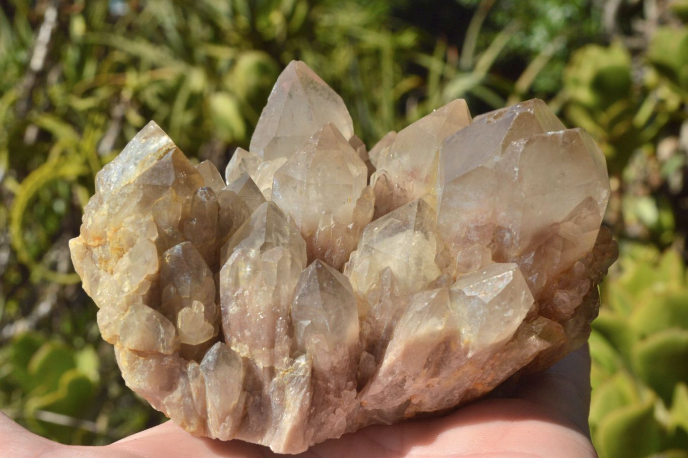 Natural Smokey Cascading Phantom Quartz Clusters x 2 From Luena, Congo - TopRock