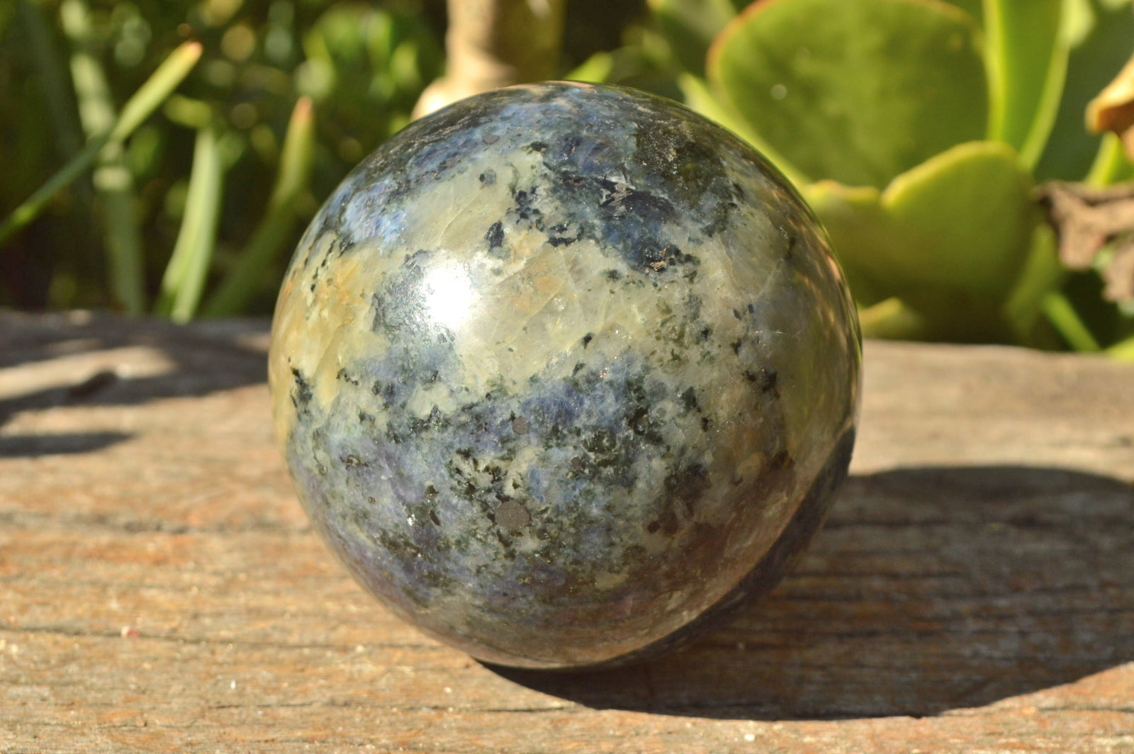 Polished Iolite Water Sapphire Spheres x 2 From Madagascar - TopRock