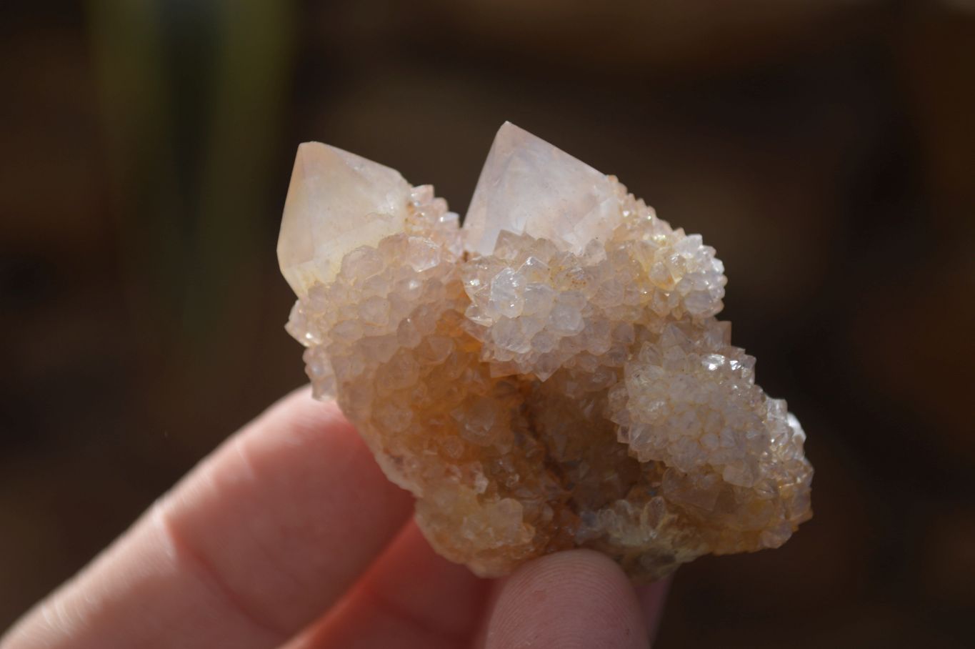 Natural Mixed Spirit Quartz Crystals x 70 From Boekenhouthoek, South Africa - Toprock Gemstones and Minerals 