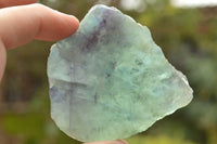 Polished Semi Translucent Watermelon Fluorite Slices x 12 From Uis, Namibia - TopRock