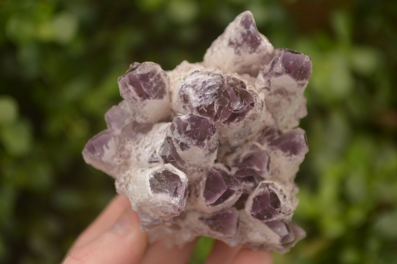 Natural Sugar Amethyst Clusters  x 4 From Solwezi, Zambia - Toprock Gemstones and Minerals 