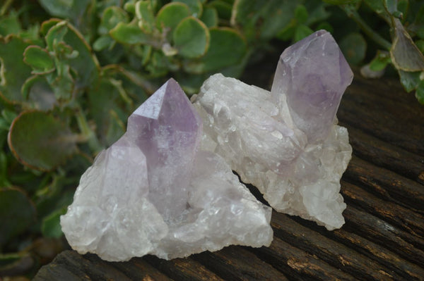 Natural Jacaranda Amethyst Clusters  x 6 From Mumbwa, Zambia - Toprock Gemstones and Minerals 