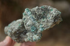 Natural Rare Emerald Mica In Matrix Cobbed Specimens x 12 From Mutoko, Zimbabwe - Toprock Gemstones and Minerals 