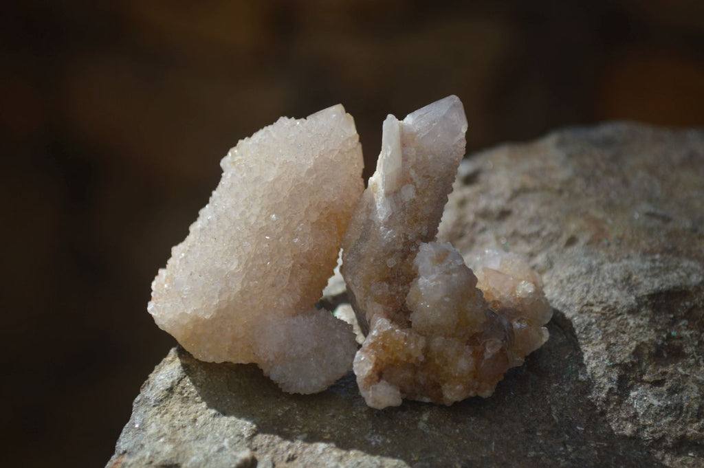 Natural Mixed Spirit Quartz Crystals x 70 From Boekenhouthoek, South Africa - Toprock Gemstones and Minerals 