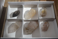 Polished Rare Inclusion Quartz Points x 6 From Madagascar - Toprock Gemstones and Minerals 