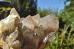 Natural Smokey Cascading Phantom Quartz Clusters x 2 From Luena, Congo - TopRock