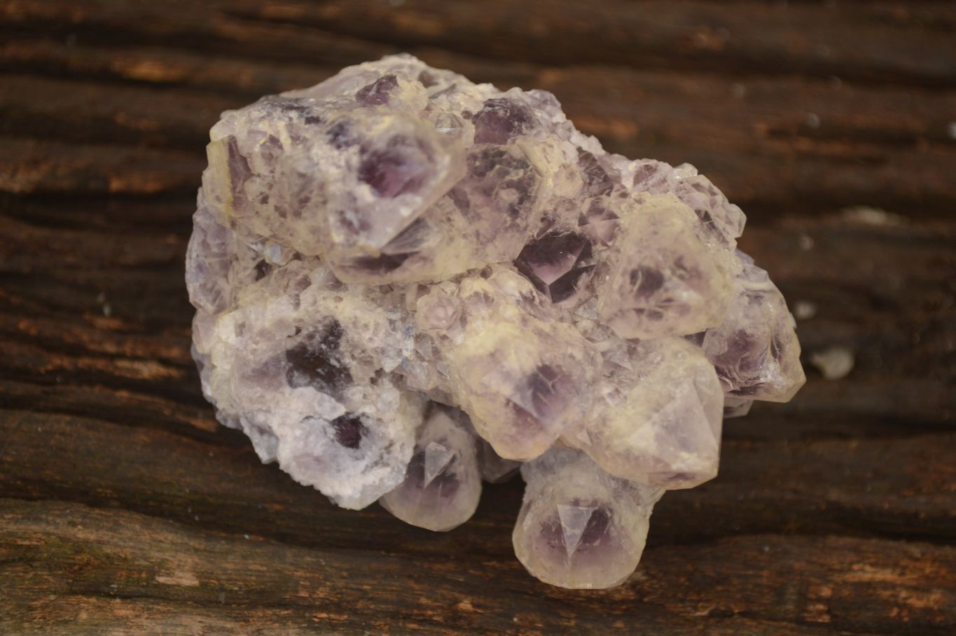 Natural Sugar Amethyst Clusters  x 4 From Solwezi, Zambia - Toprock Gemstones and Minerals 