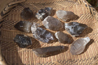 Natural Smokey Quartz Crystals x 12 From Malawi - Toprock Gemstones and Minerals 